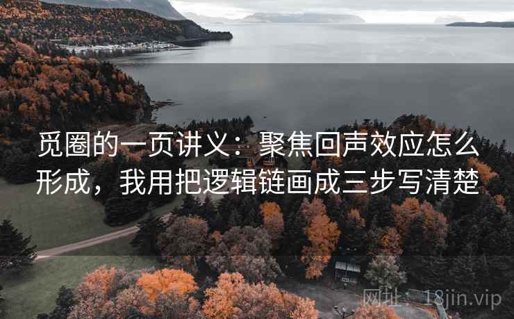 觅圈的一页讲义：聚焦回声效应怎么形成，我用把逻辑链画成三步写清楚
